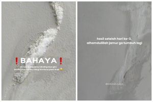 Jangan cuma dibersihkan, ini trik basmi jamur di tembok agar tak muncul lagi pakai 2 bahan dapur