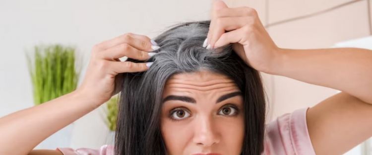 Rempah ini jadi alternatif hair tonic untuk atasi uban dan suburkan rambut hitam, ini cara pakainya