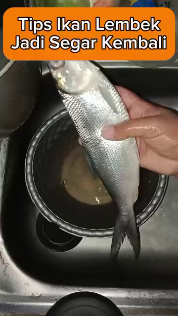 Kerap lembek jika disimpan lama, begini trik agar ikan jadi lebih segar lagi saat hendak diolah