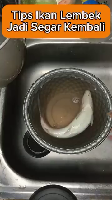 Kerap lembek jika disimpan lama, begini trik agar ikan jadi lebih segar lagi saat hendak diolah