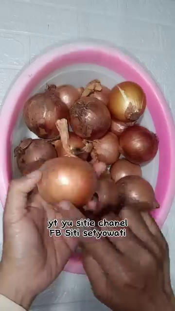 Jangan asal, ini trik memilih bawang bombay segar yang rasanya manis dan beraroma sedap saat dimasak