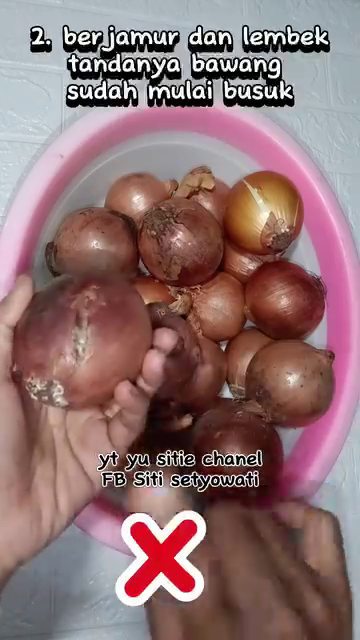 Jangan asal, ini trik memilih bawang bombay segar yang rasanya manis dan beraroma sedap saat dimasak