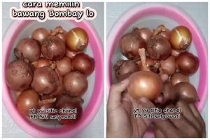 Jangan asal, ini trik memilih bawang bombay segar yang rasanya manis dan beraroma sedap saat dimasak