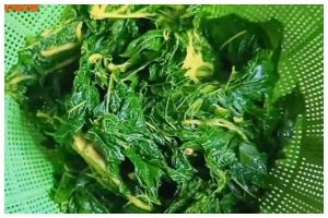 Trik menghilangkan rasa pahit daun pepaya tanpa harus mengandalkan tanah liat dan daun jambu biji