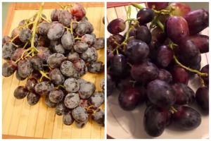 Tak perlu direndam garam, trik mudah hilangkan lapisan lilin pada anggur hanya dengan 1 bahan dapur