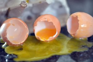 7 Cara membersihkan telur pecah di lantai, tak lengket dan bebas amis manfaatkan bahan di dapur