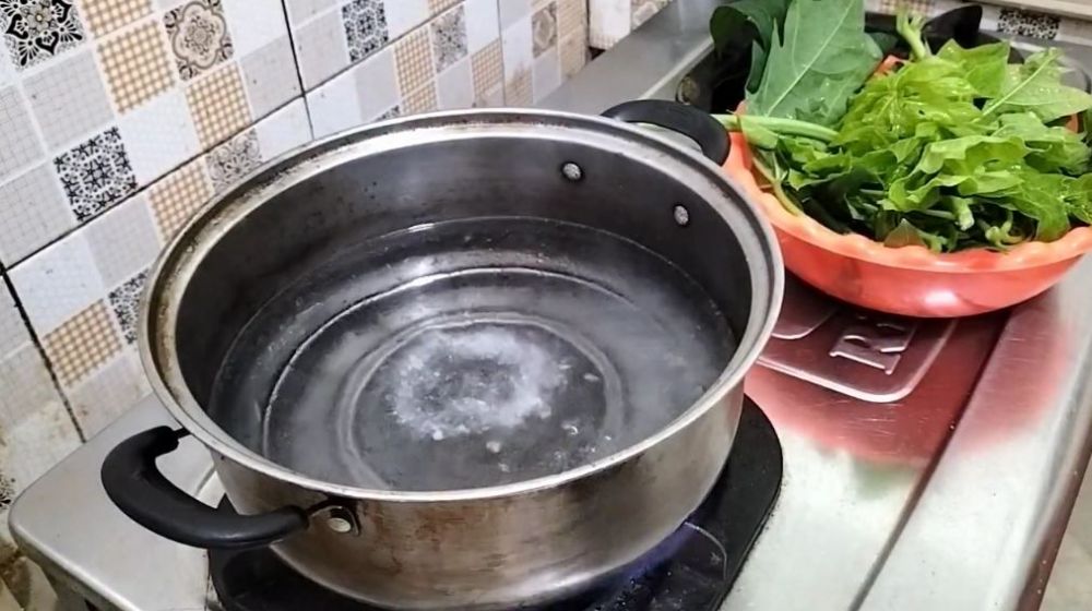 Trik agar daun pepaya cepat empuk saat direbus dalam 5 menit, tidak pahit hanya pakai 1 bumbu