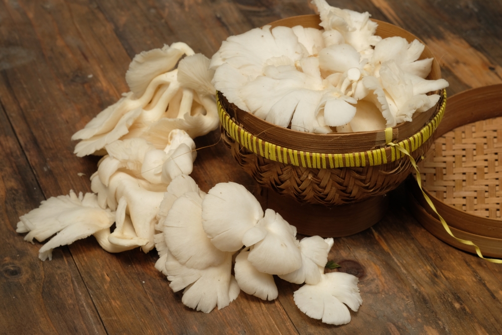 Lebih baik dimasak langsung, 4 sayuran ini pantang direbus sebentar pakai metode blanching