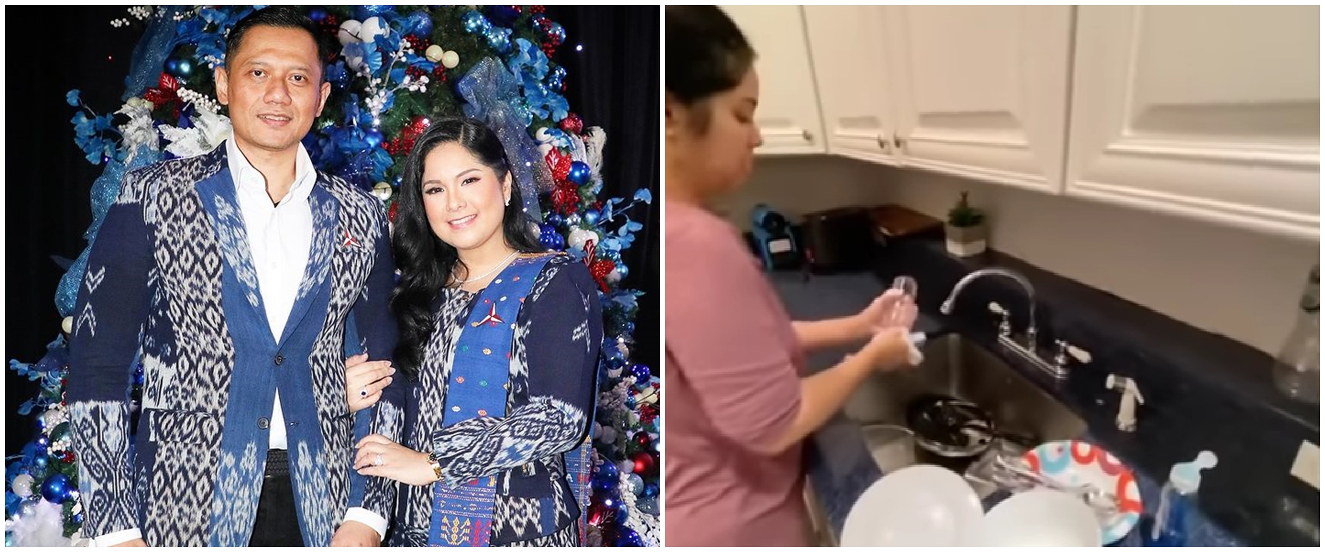 Mewah dan elegan, intip potret dapur rumah AHY dan Annisa Pohan yang apik tanpa banyak perabotan