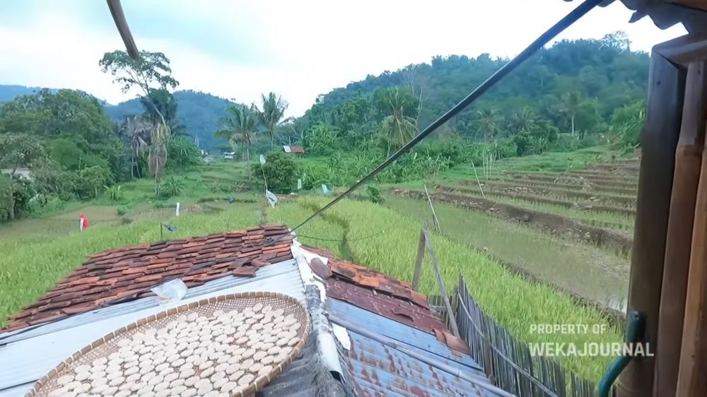 Mewah bukan segalanya, 9 potret rumah bambu tengah sawah ini biar sederhana tapi idaman untuk masa tua
