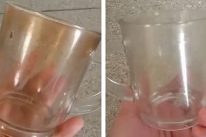 Cara cepat menghilangkan kerak membandel pada gelas kaca, kinclong dan kesat lagi dengan 2 bahan dapur
