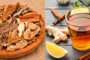 Penjelasan ilmiah kenapa rempah-rempah ini andalan turun temurun untuk jaga tubuh saat cuaca ekstrem