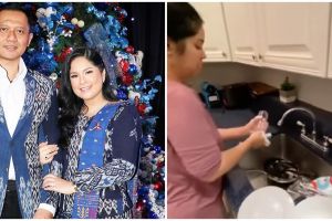 Tak banyak perabotan, intip 9 potret dapur AHY dan Annisa Pohan di rumah mewah bak kastil