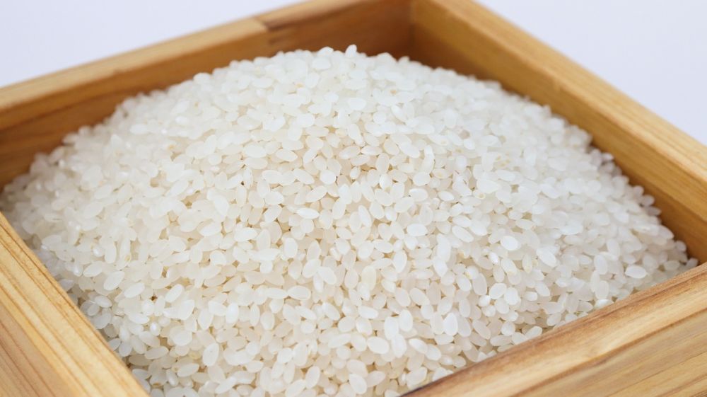 Cara mengasah pisau blender pakai beras, kembali tajam dalam hitungan menit