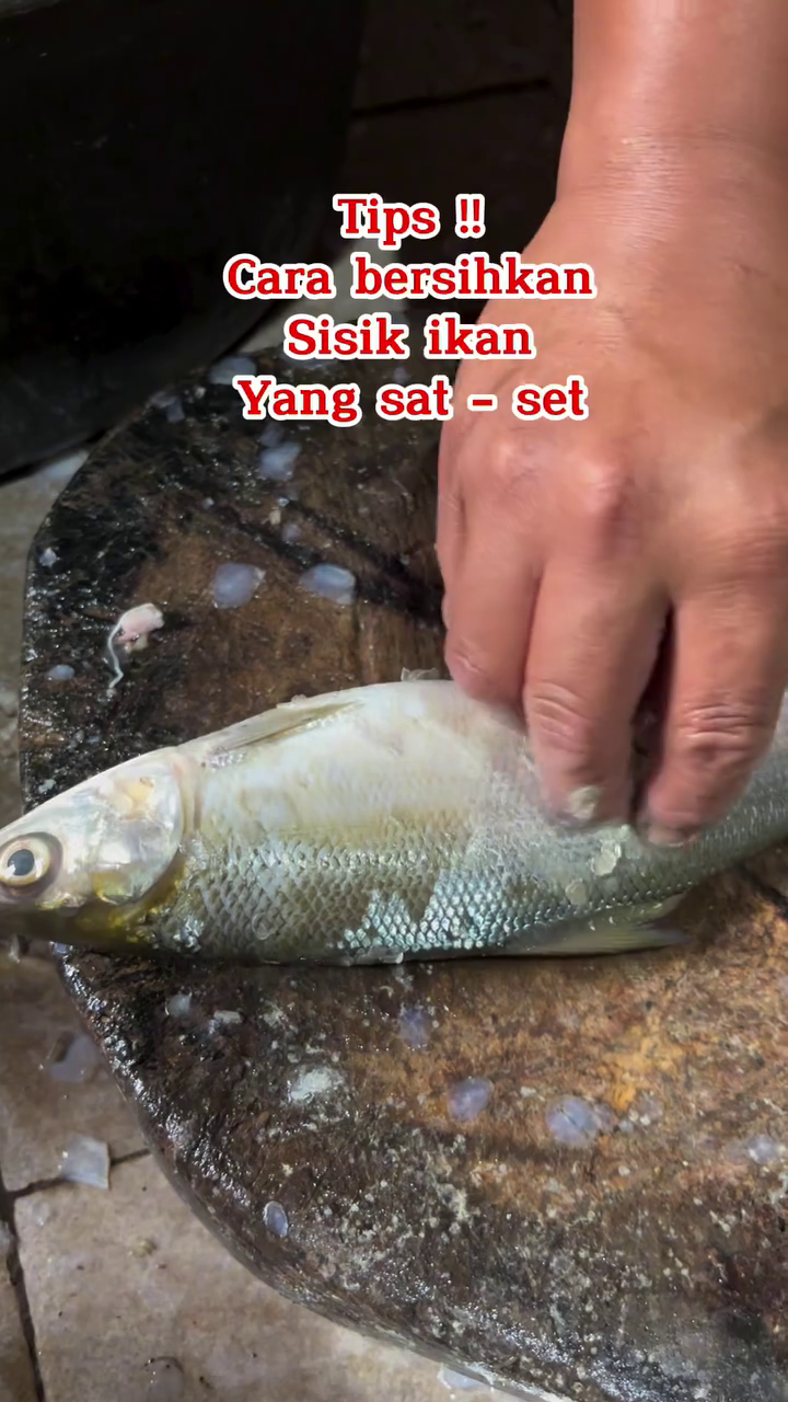 Trik bersihkan sisik ikan ini praktis tanpa pisau atau alat apapun, langsung luntur dalam sekali usap
