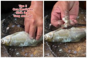 Trik bersihkan sisik ikan ini praktis tanpa pisau atau alat apapun, langsung luntur dalam sekali usap