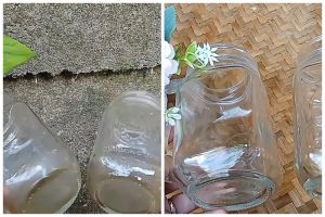 Kerak teh pada gelas bisa hilang cukup pakai cara ini, bersih dan kesat tak perlu capek menyikat