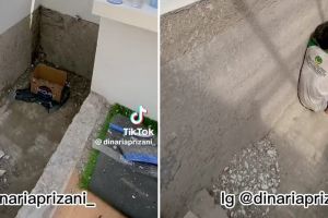 Toilet estetik view awan ini awalnya kolam ikan, intip 11 potret transformasinya yang bikin takjub