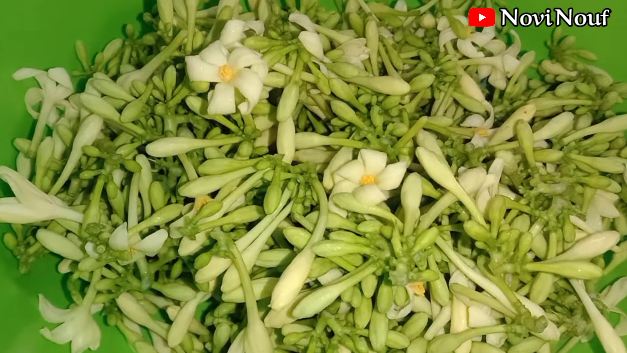 Cukup tambahkan 3 bahan, ini trik merebus bunga pepaya supaya tetap hijau dan tidak pahit