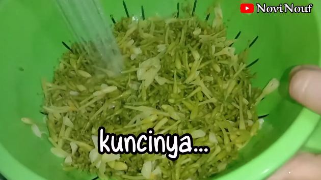 Cukup tambahkan 3 bahan, ini trik merebus bunga pepaya supaya tetap hijau dan tidak pahit