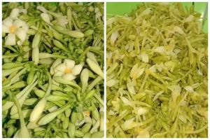 Cukup tambahkan 3 bahan, ini trik merebus bunga pepaya supaya tetap hijau dan tidak pahit