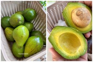 Trik cepat mematangkan alpukat agar dalamnya mulus dan tidak busuk
