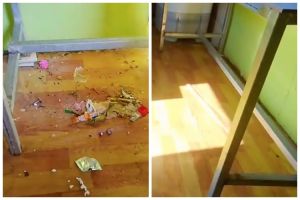 Jangan asal dipel, cara bersihkan kotoran tikus di kolong dapur ini ampuh basmi bau tak sedap