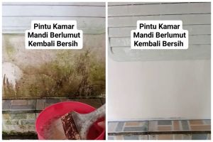 Cara ampuh membasmi lumut tebal di pintu kamar mandi agar kesat lagi cuma dengan 2 bahan sederhana