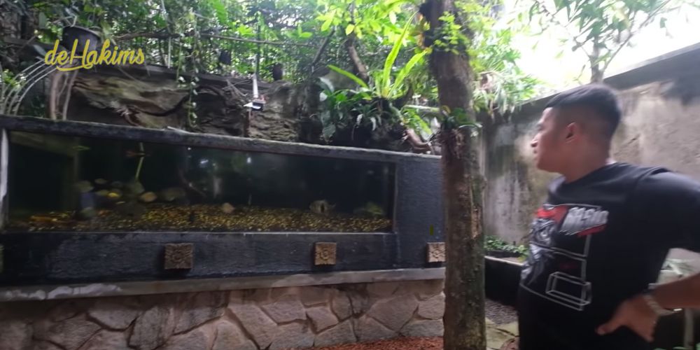 Serasa tinggal di hutan era zaman batu ada pohon usia 15 juta tahun, 11 potret kamar mandi Haji Asari