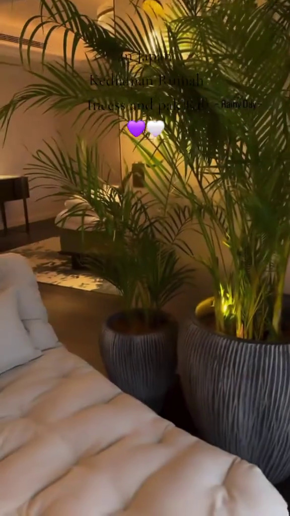 9 Potret apartemen mewah Syahrini dan Reino Barrack di Jepang, tanamannya bikin salah fokus