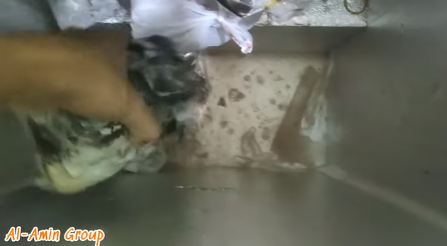 Trik cepat mencairkan daging beku dari freezer hanya dalam 10 menit