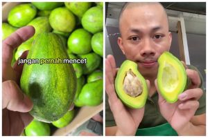 Awet dan tak busuk hingga 6 bulan, ini cara mudah menyimpan buah alpukat yang sudah matang