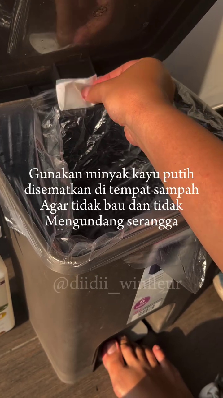 Tempat sampah kerap mengundang semut dan lalat? Ini trik mengatasinya supaya bebas bau tak sedap
