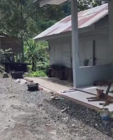 Rumah sederhana ini punya pemandangan seperti di resort mewah, bisa healing tiap hari, ini 7 potretnya