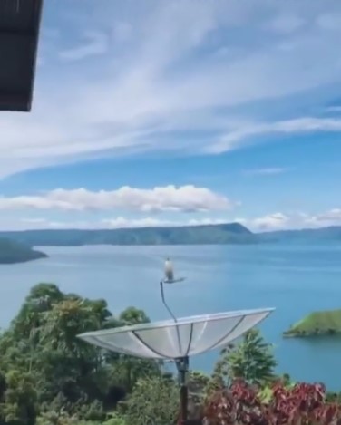 Rumah sederhana ini punya pemandangan seperti di resort mewah, bisa healing tiap hari, ini 7 potretnya