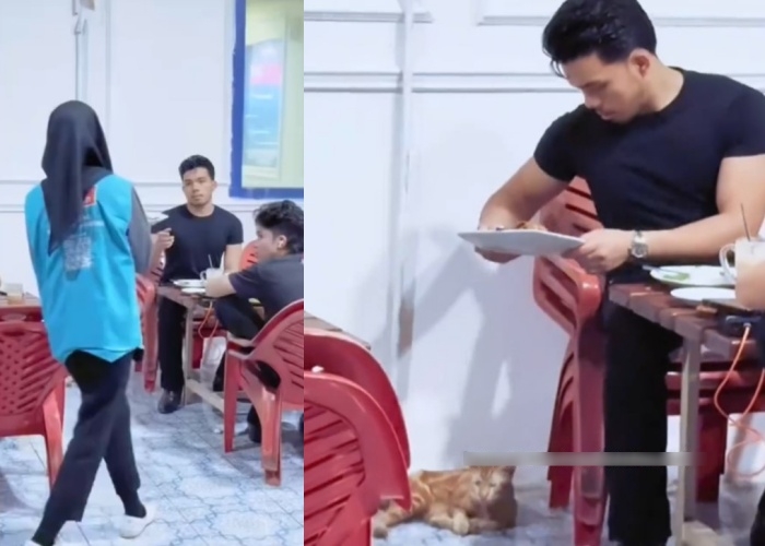 Saaih Halilintar beri makan kucing pakai piring warung, aksi cintanya ke hewan tuai pro dan kontra