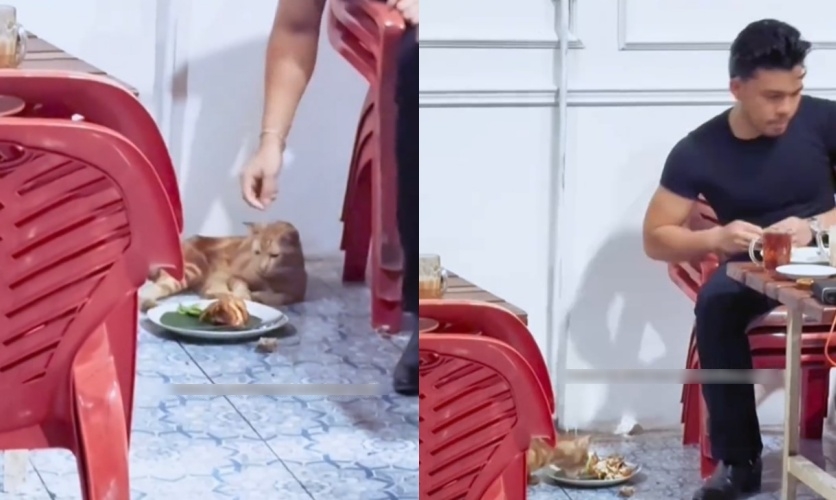 Saaih Halilintar beri makan kucing pakai piring warung, aksi cintanya ke hewan tuai pro dan kontra