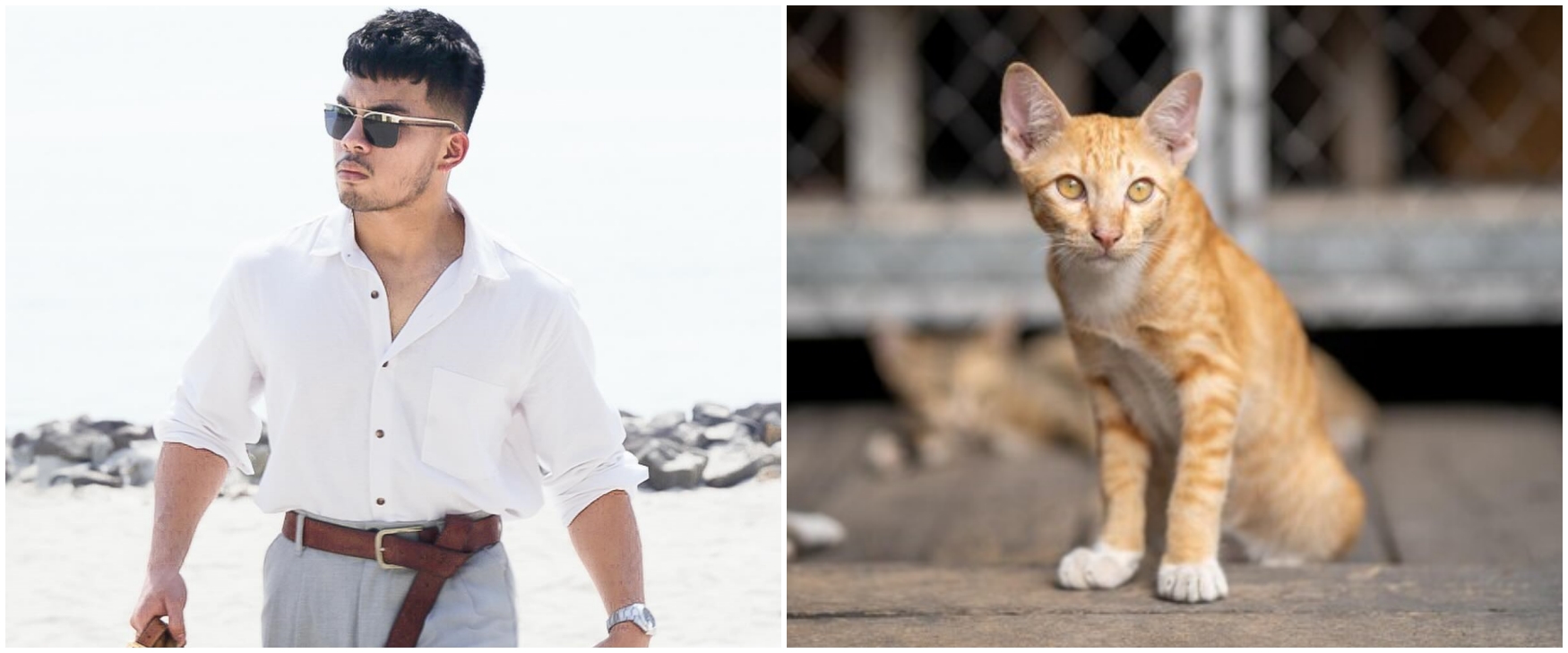 Saaih Halilintar beri makan kucing pakai piring warung, aksi cintanya ke hewan tuai pro dan kontra