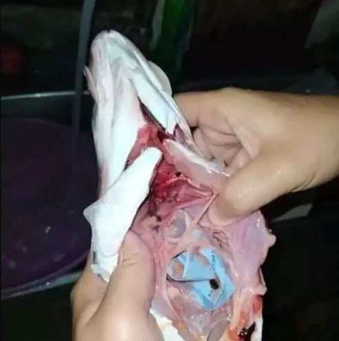 Serasa dapat kejutan tak terduga, 11 potret kocak dapat rezeki nomplok ini bikin nyengir seharian