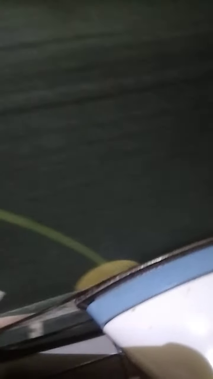 Tak perlu disemprot cairan khusus, begini trik ampuh membasmi tungau di kasur agar tak muncul lagi