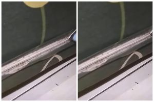 Tak perlu disemprot cairan khusus, begini trik ampuh membasmi tungau di kasur agar tak muncul lagi