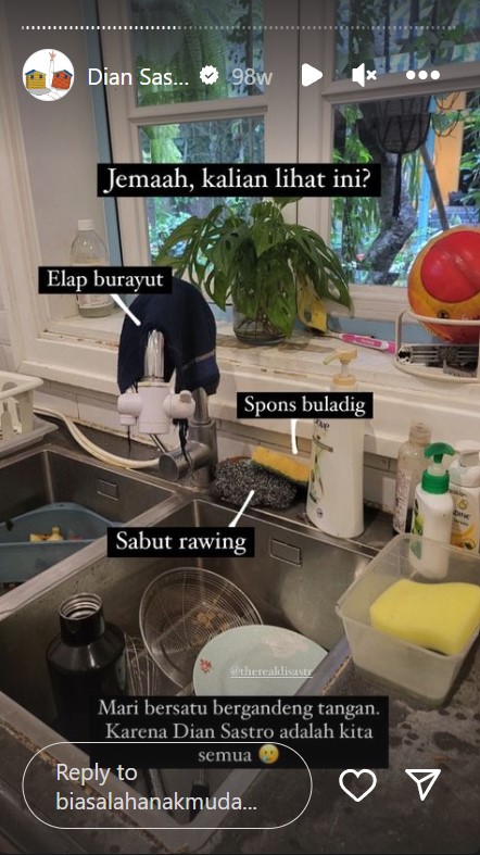 Tempat cuci piring penuh pecah belah, intip 11 potret dapur Dian Sastro yang estetik ala Disney