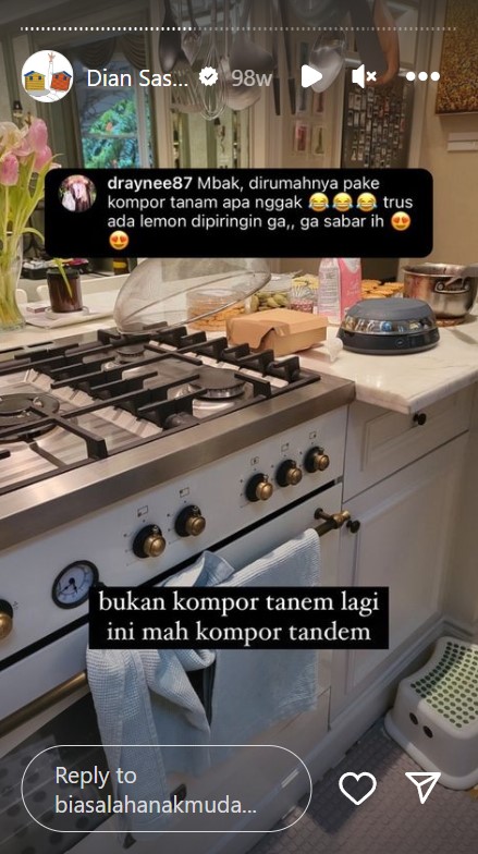 Tempat cuci piring penuh pecah belah, intip 11 potret dapur Dian Sastro yang estetik ala Disney