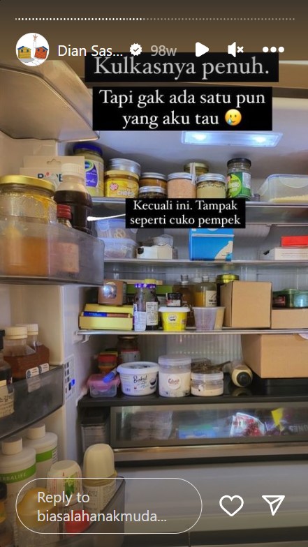 Tempat cuci piring penuh pecah belah, intip 11 potret dapur Dian Sastro yang estetik ala Disney