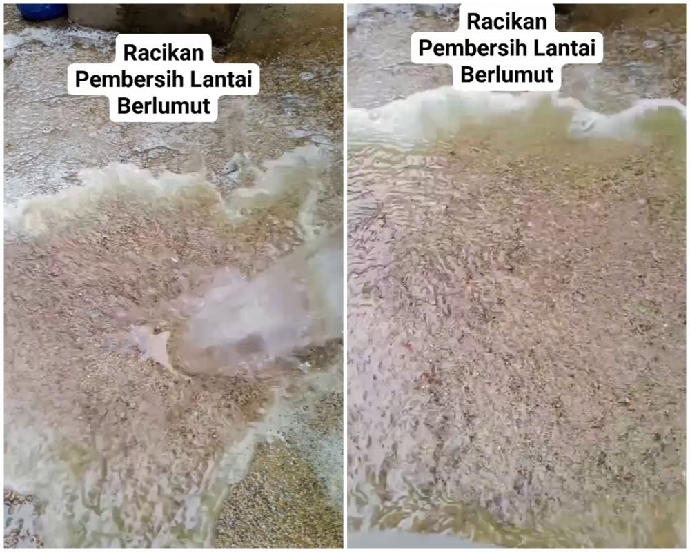 Bermodal 2 bahan sederhana, ini cara bersihkan lumut tebal di lantai semen supaya nggak bikin licin