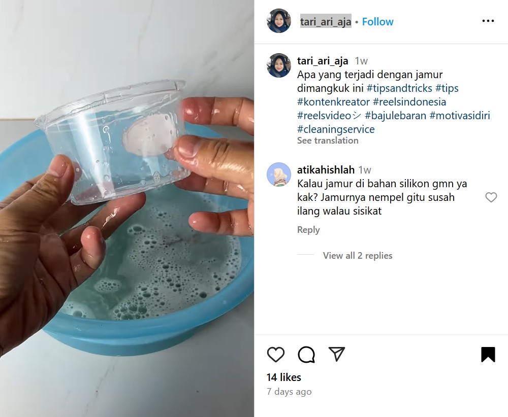 Trik basmi jamur di mangkuk plastik ini bikin steril dan bebas bau cuma dengan 2 bahan dapur