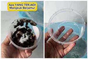 Trik basmi jamur di mangkuk plastik ini bikin steril dan bebas bau cuma dengan 2 bahan dapur