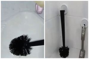 Sering dipakai jarang dibersihkan, begini trik mencuci sikat toilet agar steril dan tak bikin jijik