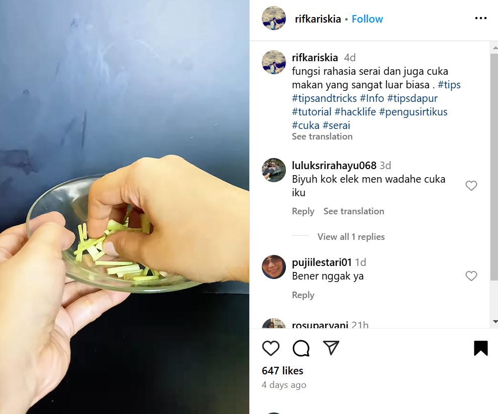 Tanpa khawatir bangkai, ini cara efektif mengusir tikus dari rumah cuma disiram pakai 3 bahan alami