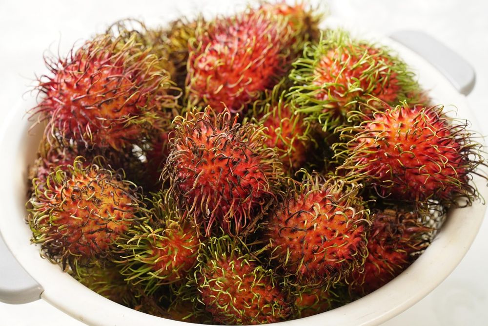 Kenapa sering batuk setelah makan rambutan? Simak penjelasan dan cara mengatasinya